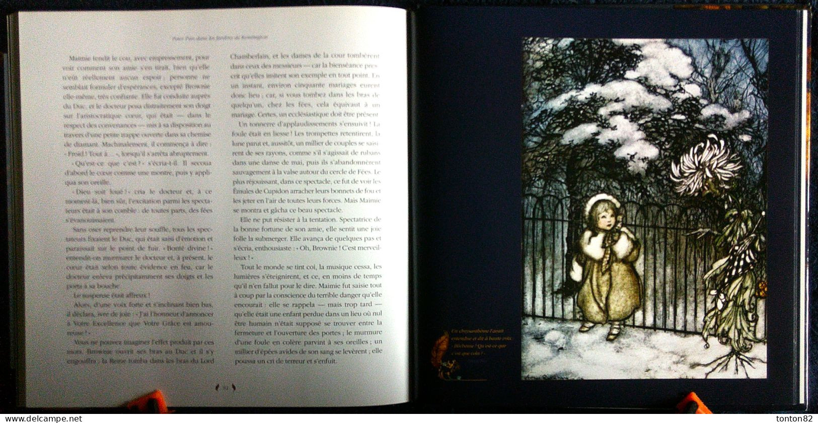 James Matthew / Arthur Rackham - PETER PAN dans les Jardins de Kensington - Édition Terre de Brume - ( 2010 ) .