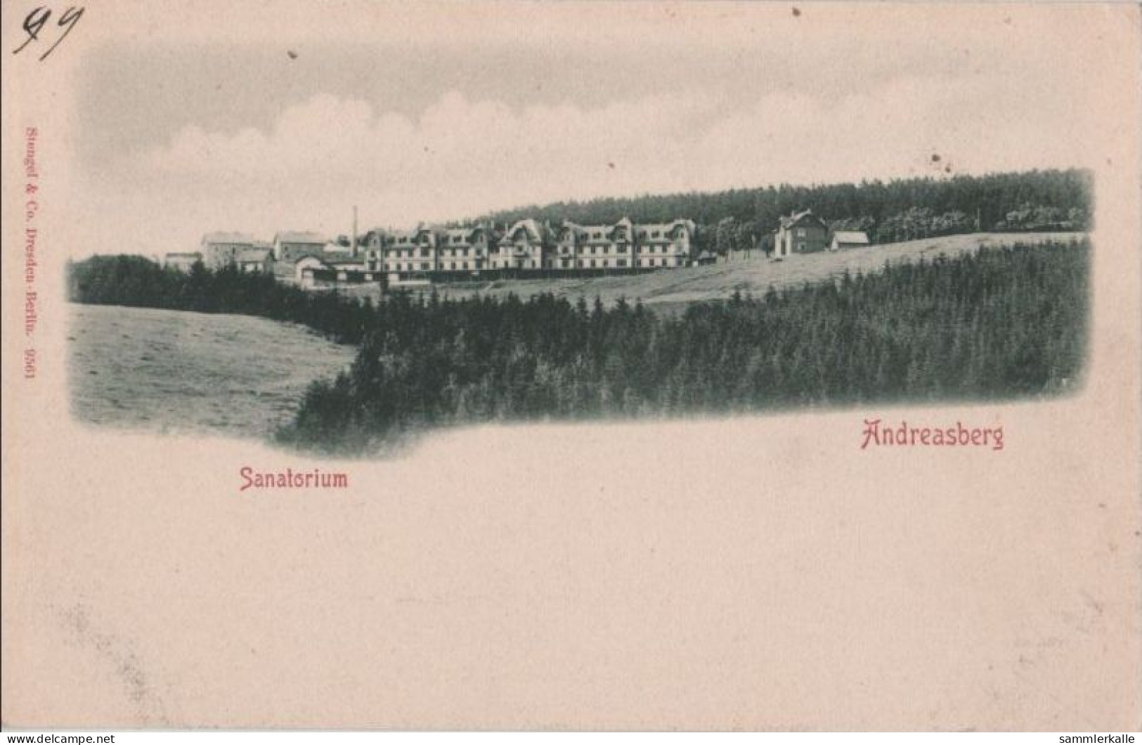 84624 - St. Andreasberg - Sanatorium - Ca. 1900 - Braunlage