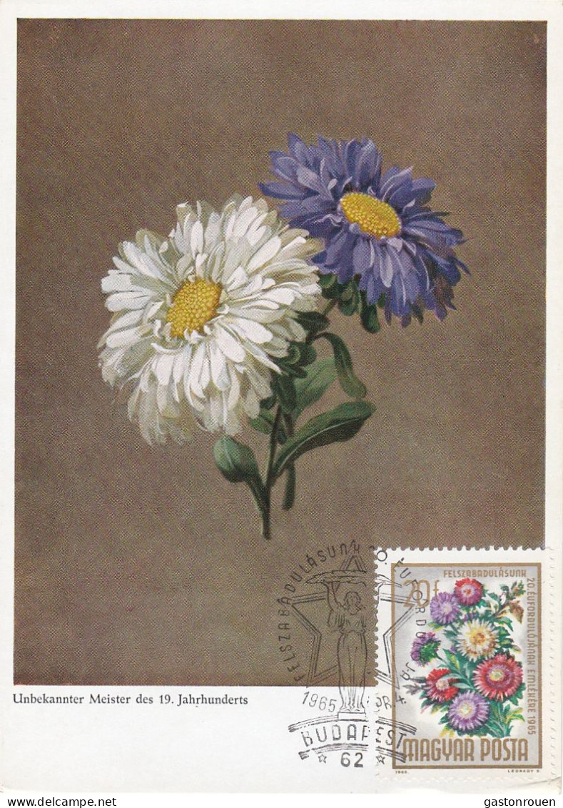 Carte Maximum Hongry Hungary Fleur Flower Reine Marguerite 1721 - Cartes-maximum (CM)