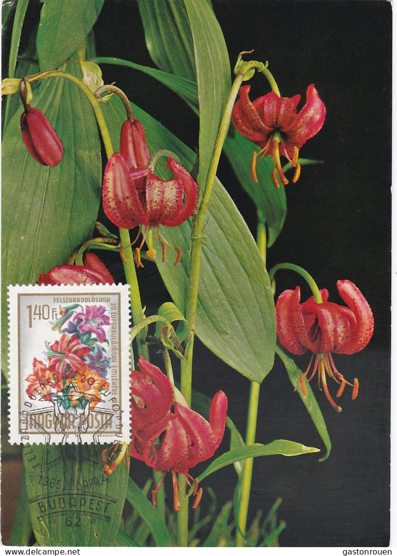 Carte Maximum Hongry Hungary Fleur Flower Lis Lily 1725 - Cartoline Maximum