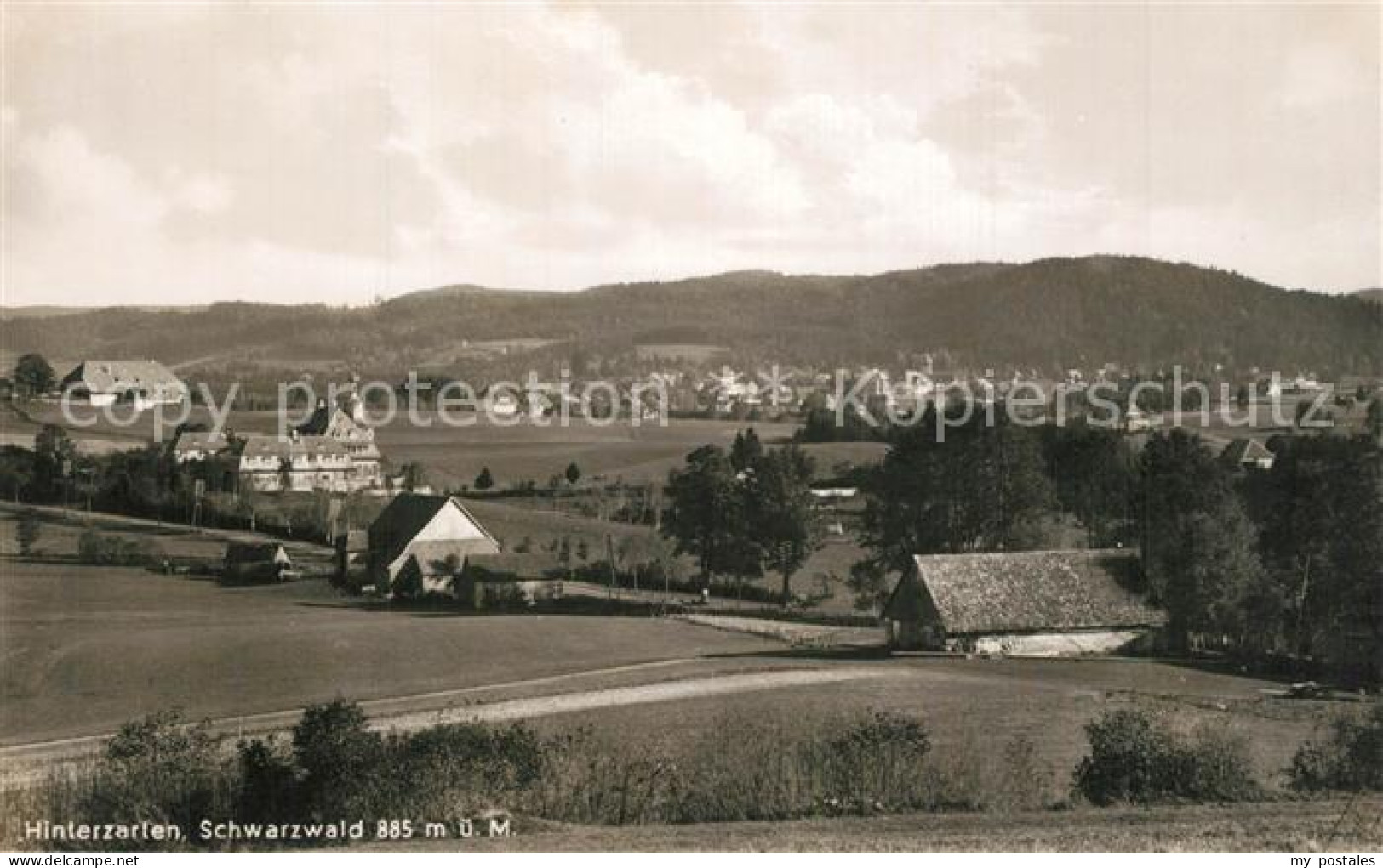 73564579 Hinterzarten Panorama Hinterzarten - Hinterzarten