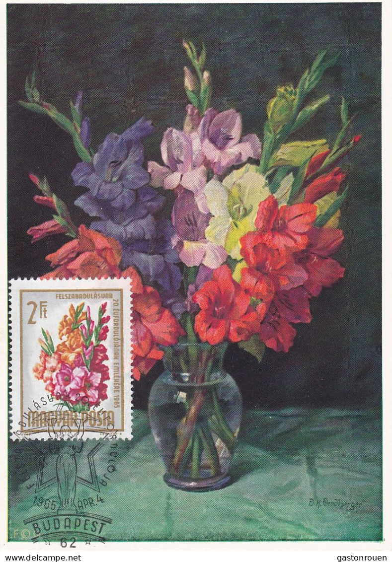 Carte Maximum Hongry Hungary Fleur Flower Glaïeul Laguiole 1727 - Cartes-maximum (CM)