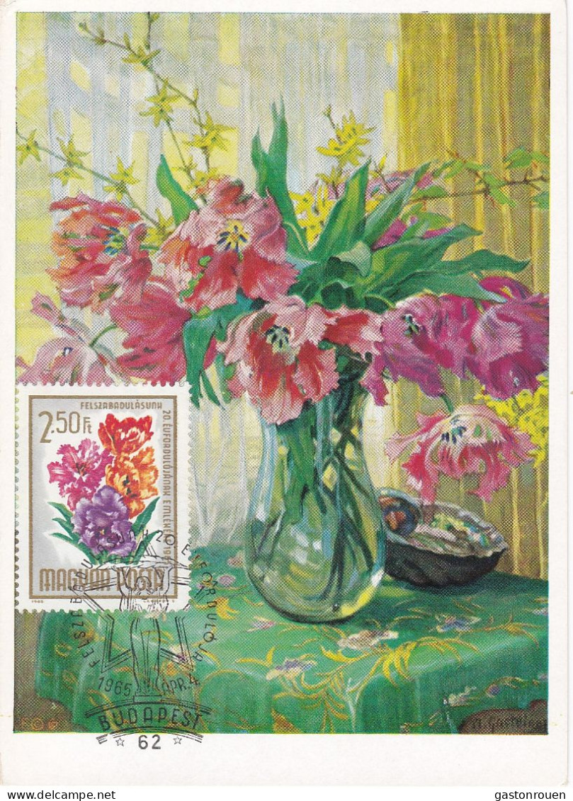 Carte Maximum Hongry Hungary Fleur Flower Tulipe Tulip 1728 - Maximum Cards & Covers