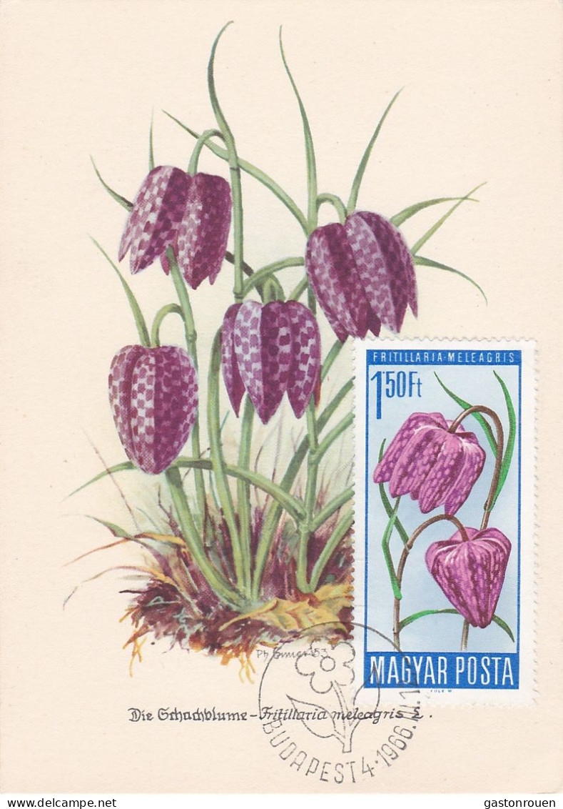 Carte Maximum Hongry Hungary Fleur Flower  Fritillaire Fritillary 1805 - Cartoline Maximum