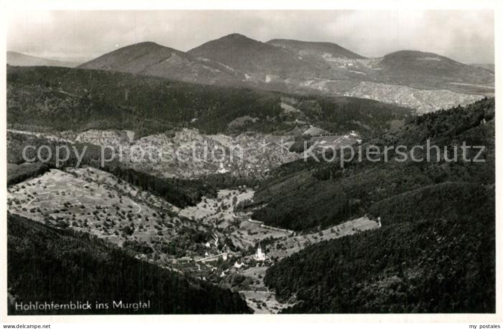 73564157 Kaltenbronn Gernsbach Hohloh Panorama  Kaltenbronn Gernsbach - Gernsbach