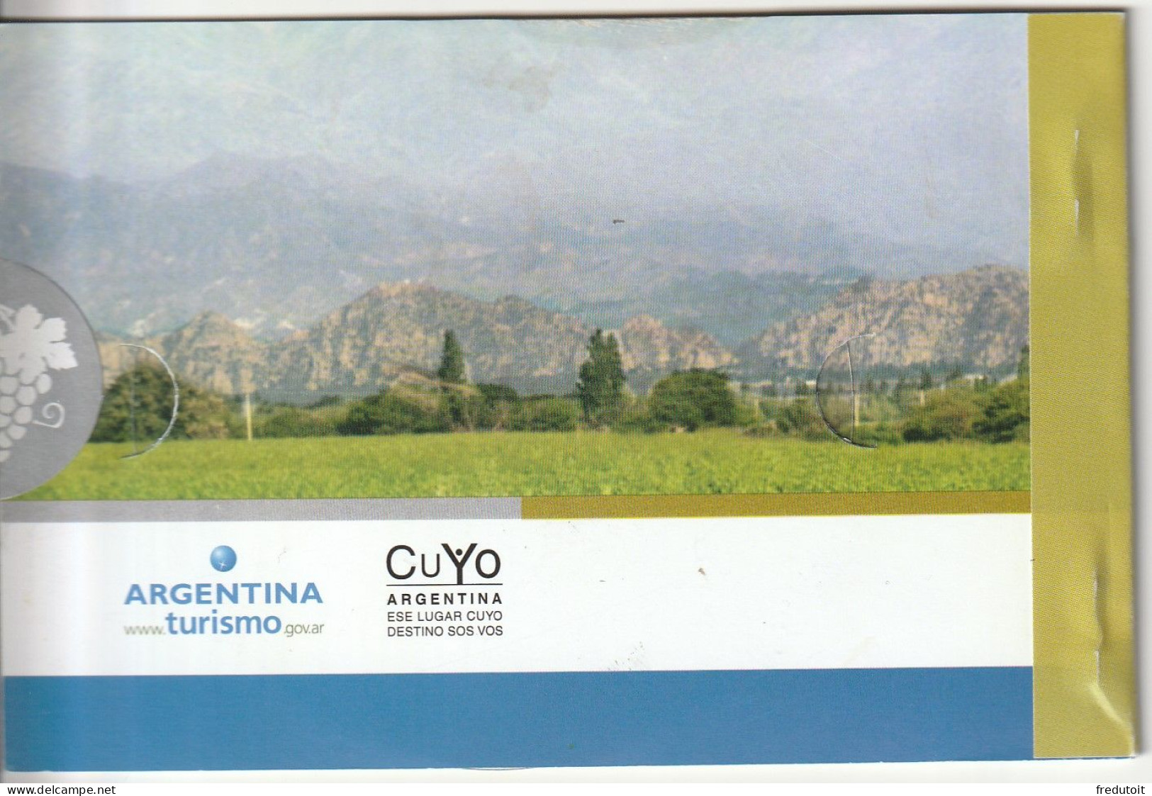 ARGENTINE - CARNET N°C2649 ** (2007) Paysages Et Vignobles - Markenheftchen