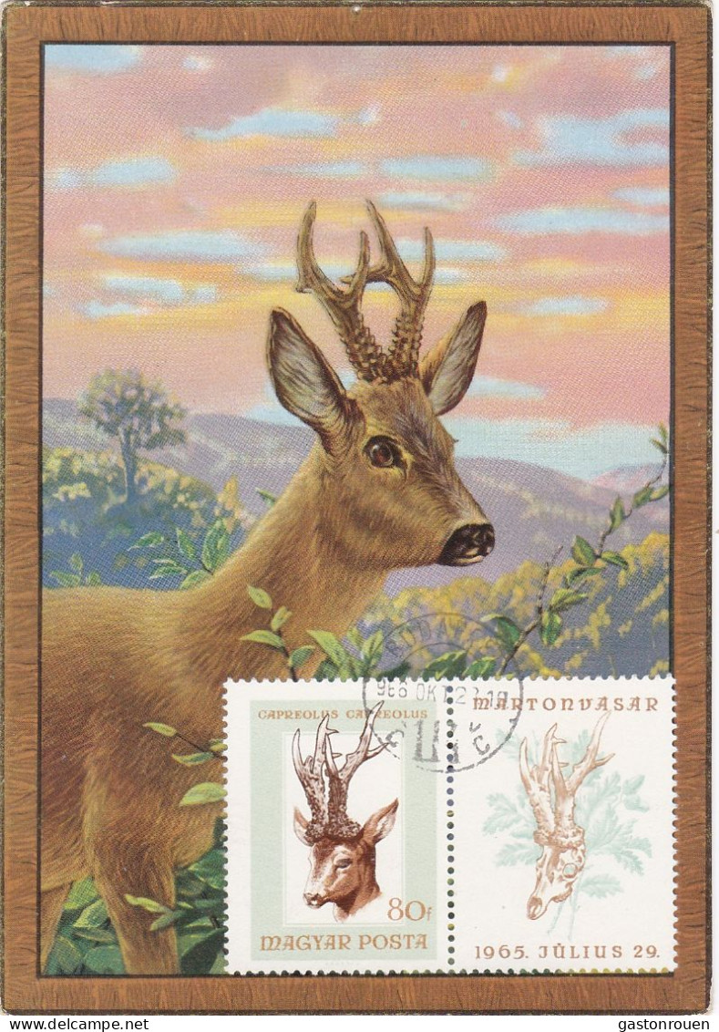 Carte Maximum Hongrie Hungary Chevreuil Deer 1847 - Cartoline Maximum