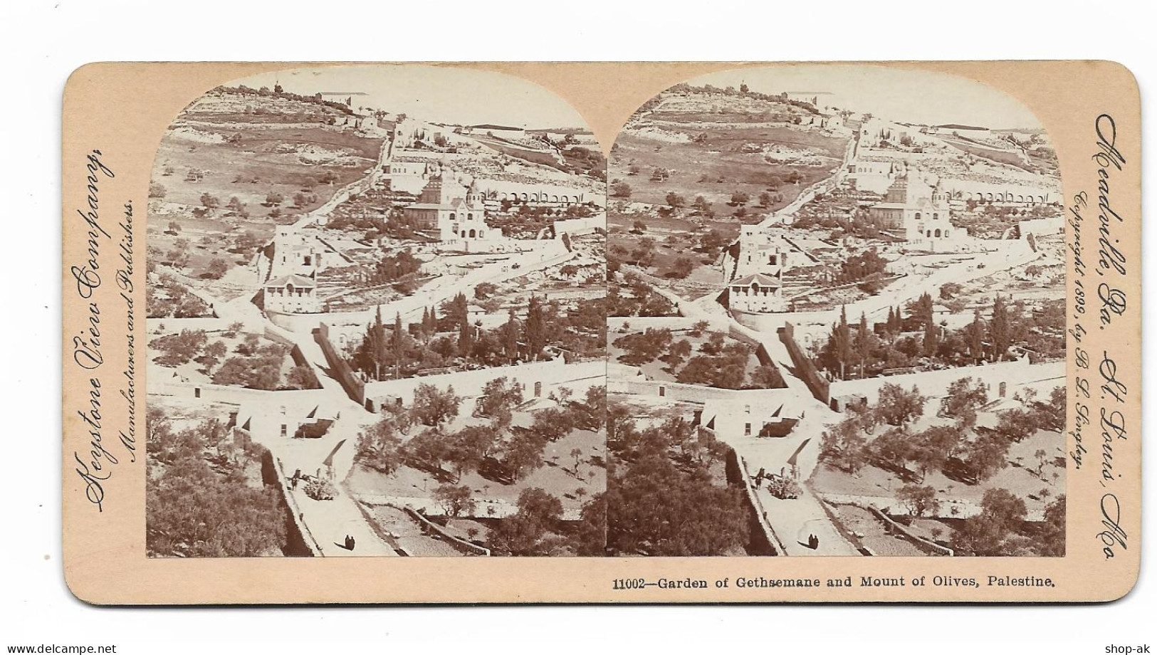 XX17218/ Stereofoto Palästina Palestine Garten Gethsemane  Foto 1899 - Palestine