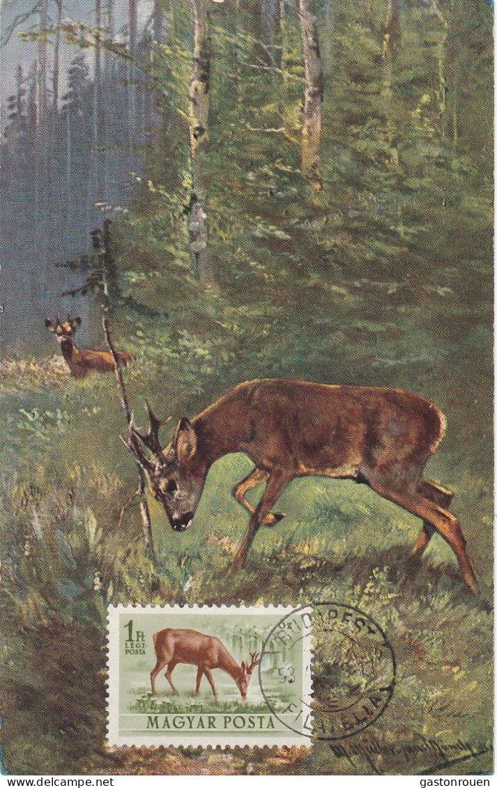 Carte Maximum Hongrie Hungary Chevreuil  Deer Pa143 - Cartoline Maximum