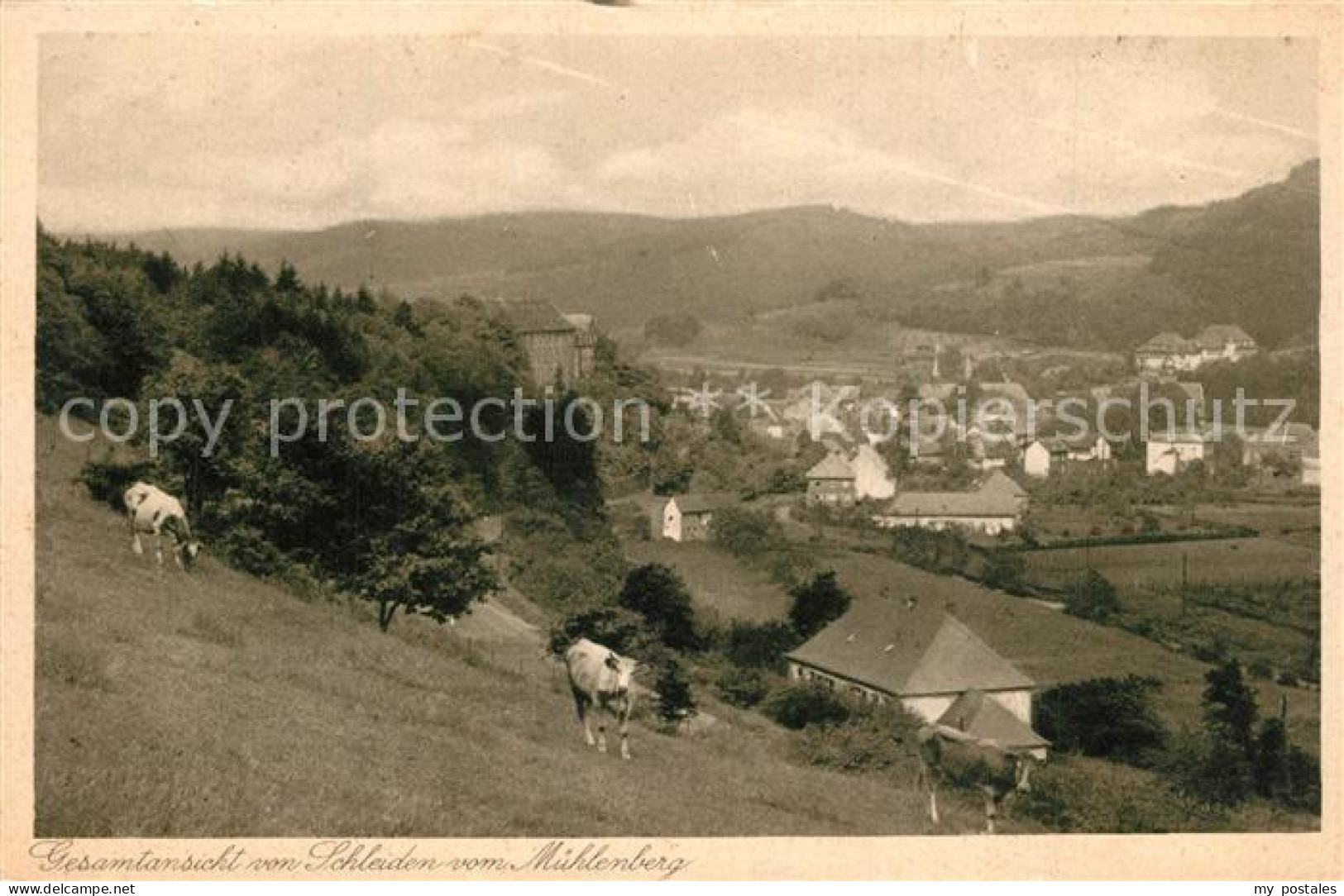 73561401 Schleiden Eifel Panorama Blick Vom Muehlenberg Schleiden Eifel - Schleiden