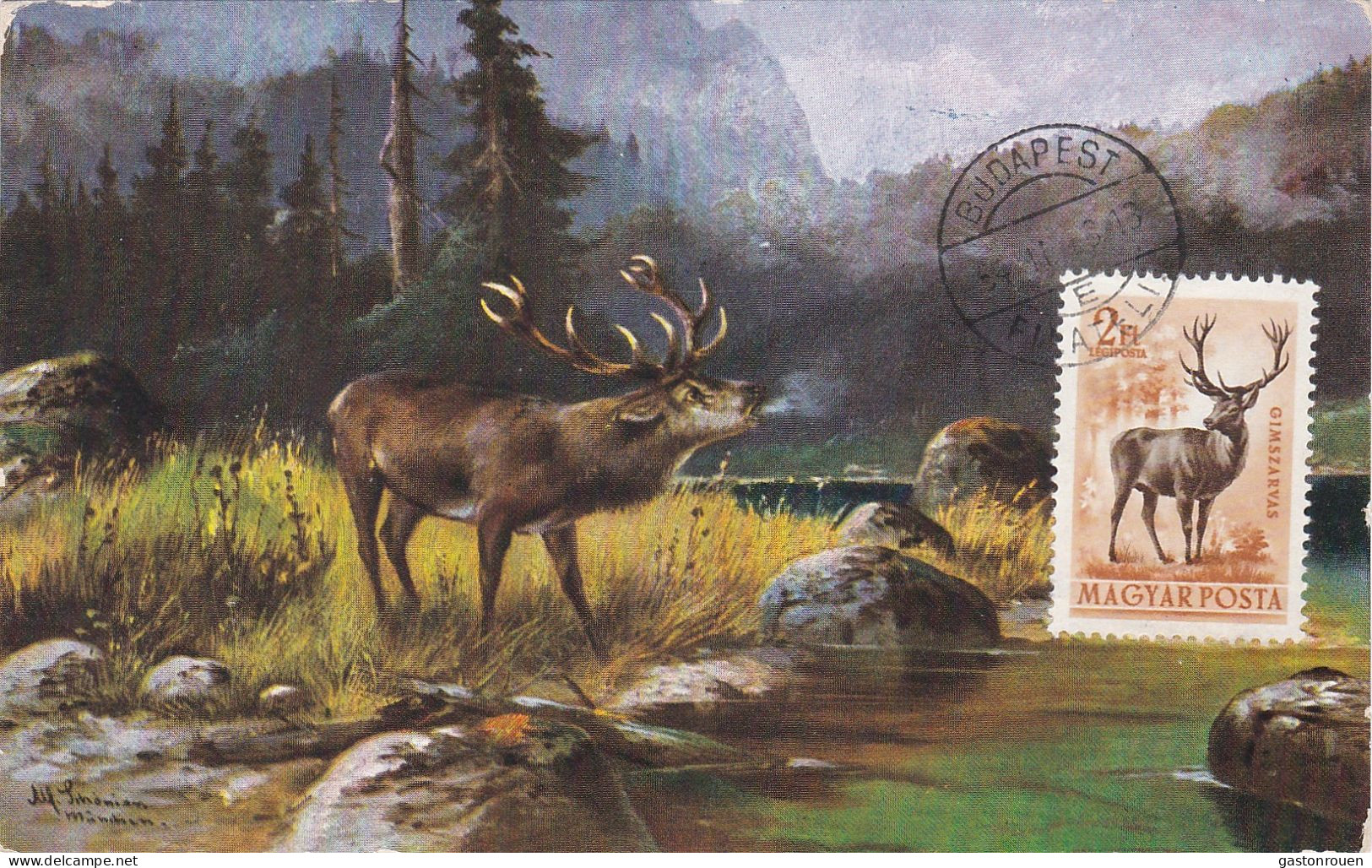 Carte Maximum Hongrie Hungary Cerf Deer Pa145 - Cartoline Maximum