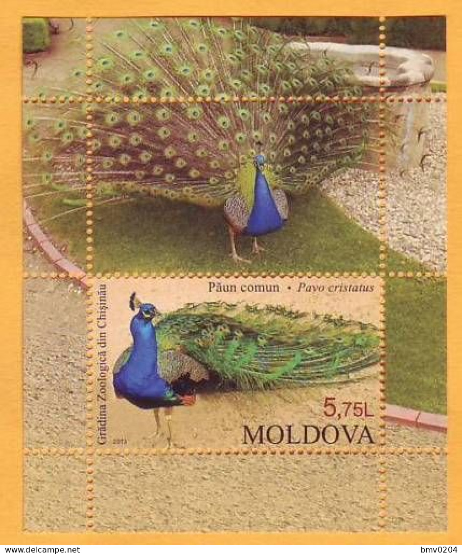 2013 Moldova Moldavie Moldau  Block  Pavo Cristatus  Zoo In Chisinau Mint - Paons