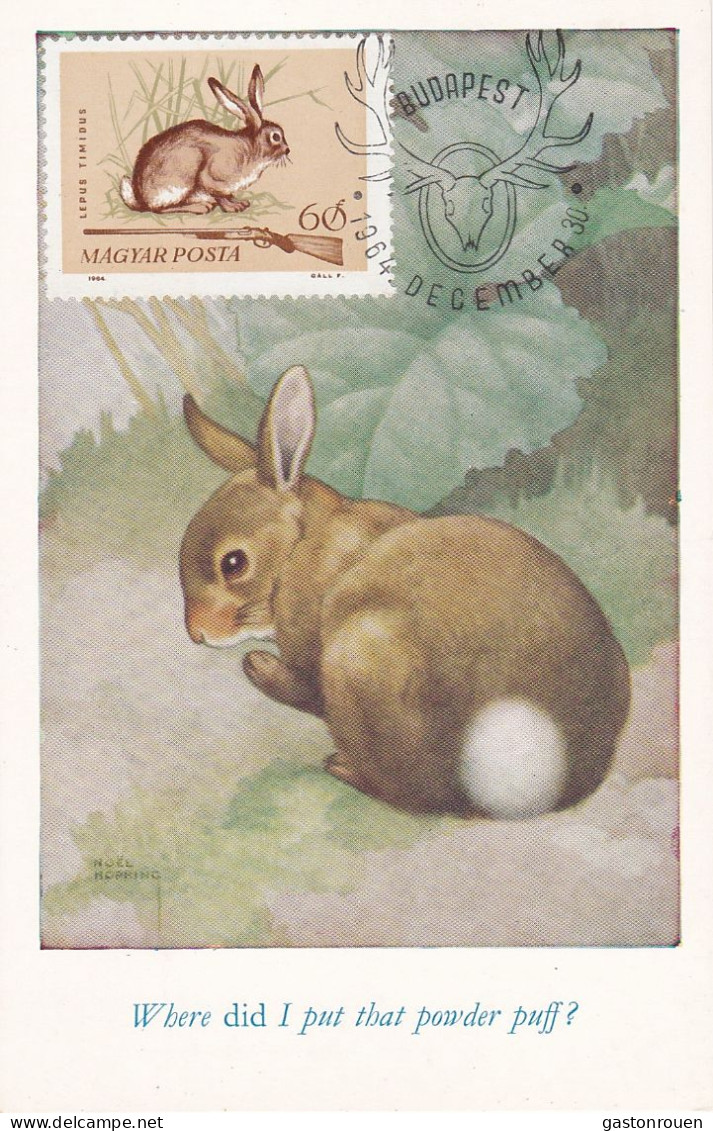 Carte Maximum Hongrie Hungary Chasse Hunting Lièvre Hare 1693 - Cartoline Maximum