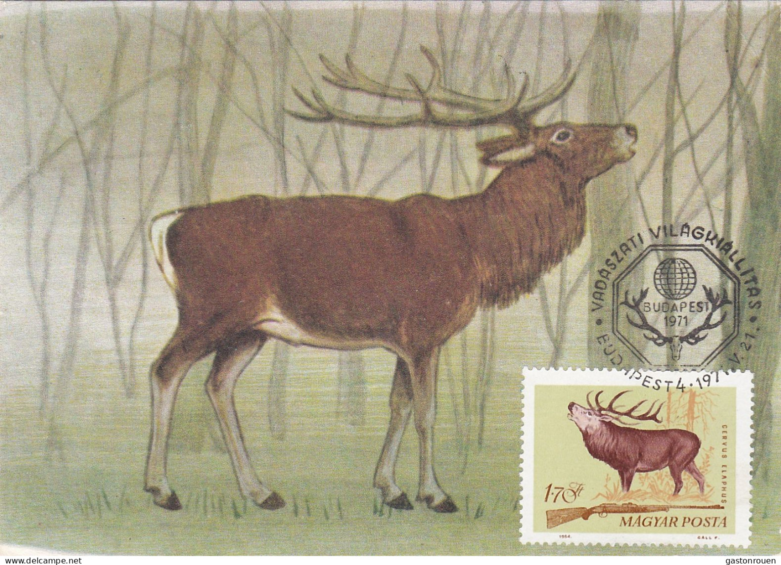 Carte Maximum Hongrie Hungary Chasse Hunting Cerf Deer 1696 - Maximum Cards & Covers