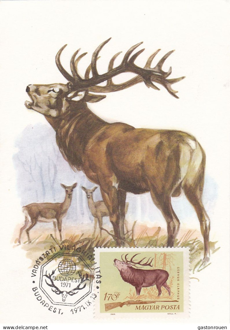 Carte Maximum Hongrie Hungary Chasse Hunting Cerf Deer 1696 - Maximum Cards & Covers