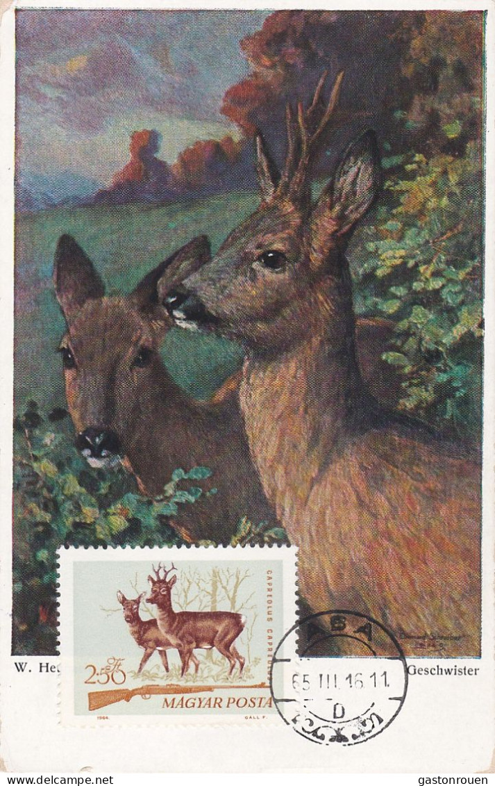 Carte Maximum Hongrie Hungary Chasse Chevreuil Deer 1698 - Tarjetas – Máximo