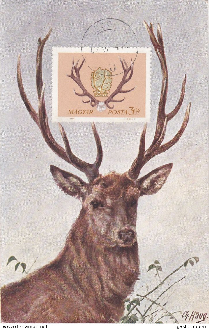 Carte Maximum Hongrie Hungary Chasse Trphée Cerf Deer 1699 - Maximum Cards & Covers