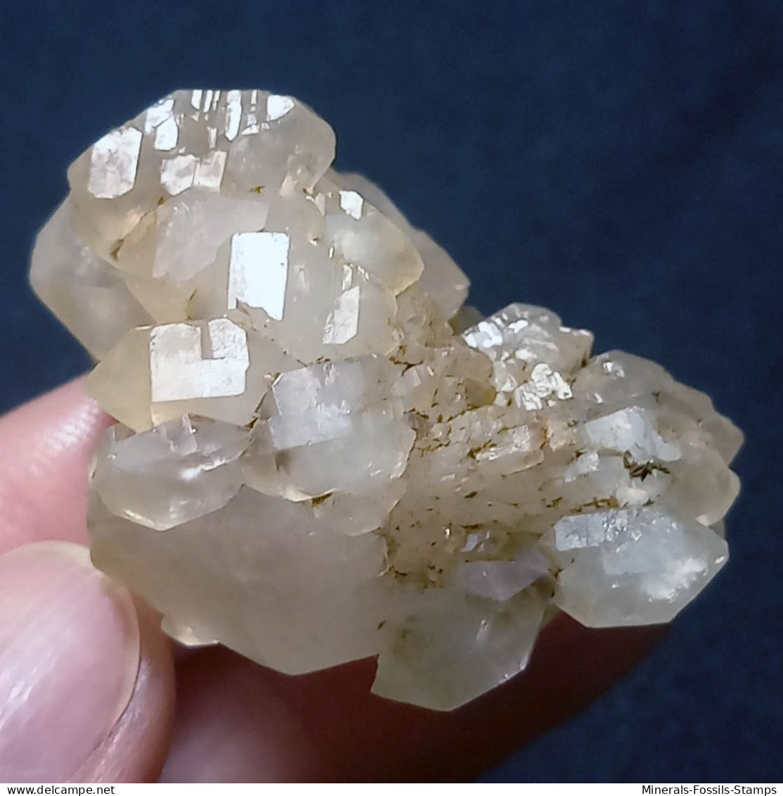 #O51 RARE Splendide Groupe QUARTZ Cristaux Maclés (Martigny, Valais, Suisse) - Minerales