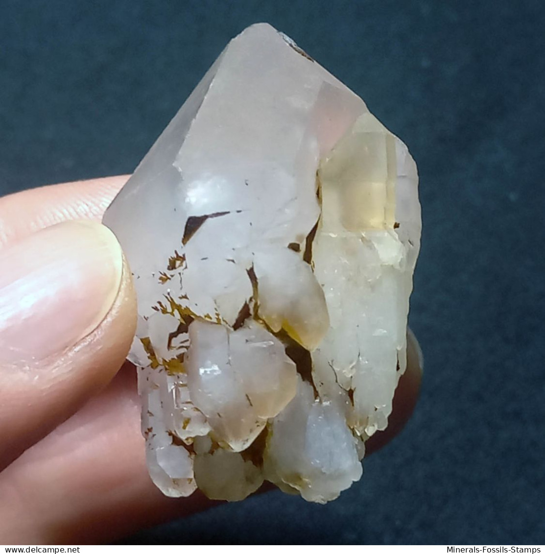 #O52 SELTENE Herrliche QUARZ Gruppen Zwillingskristalle (Martigny, Wallis, Schweiz) - Minerali