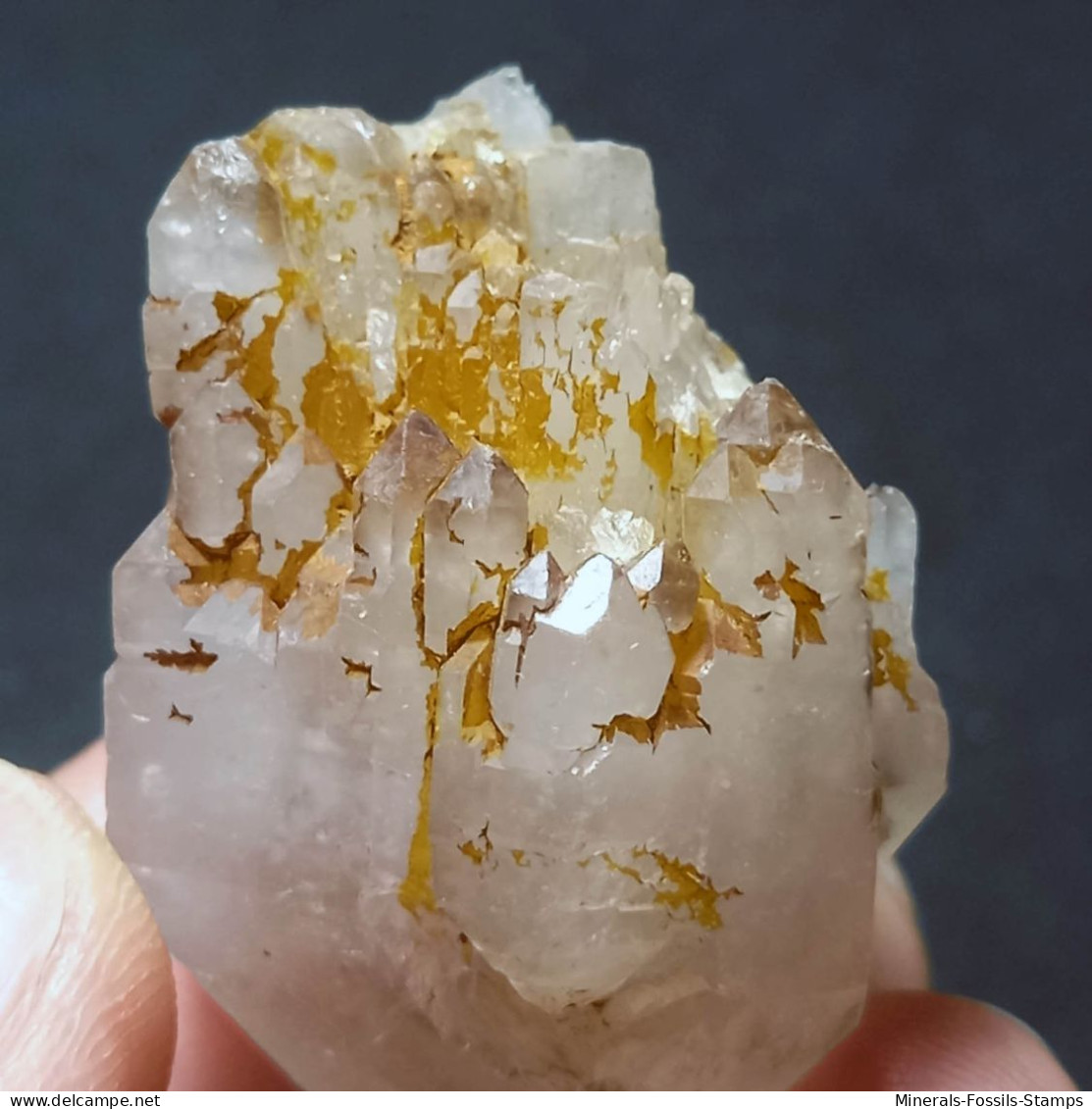 #O52 SELTENE Herrliche QUARZ Gruppen Zwillingskristalle (Martigny, Wallis, Schweiz) - Minerals