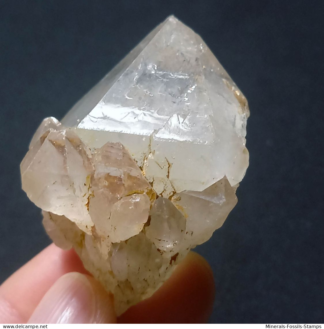 #O53 RARO Splendido Gruppo QUARZO Cristalli Geminati (Martigny, Vallese, Svizzera) - Mineralien