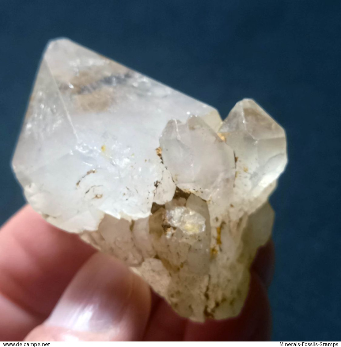 #O53 RARO Splendido Gruppo QUARZO Cristalli Geminati (Martigny, Vallese, Svizzera) - Mineralien