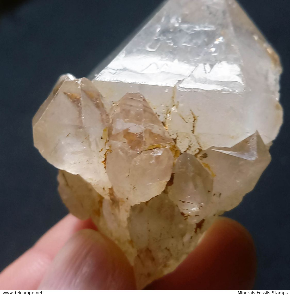 #O53 RARO Splendido gruppo QUARZO cristalli geminati (Martigny, Vallese, Svizzera)