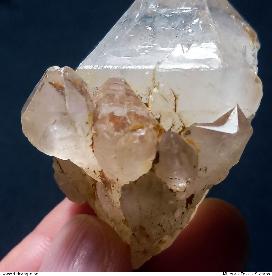 #O53 RARO Splendido gruppo QUARZO cristalli geminati (Martigny, Vallese, Svizzera)