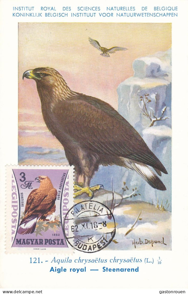 Carte Maximum Hongrie Hungary Oiseau Bird Rapace Aigle Eagle Pa256 - Maximumkarten (MC)