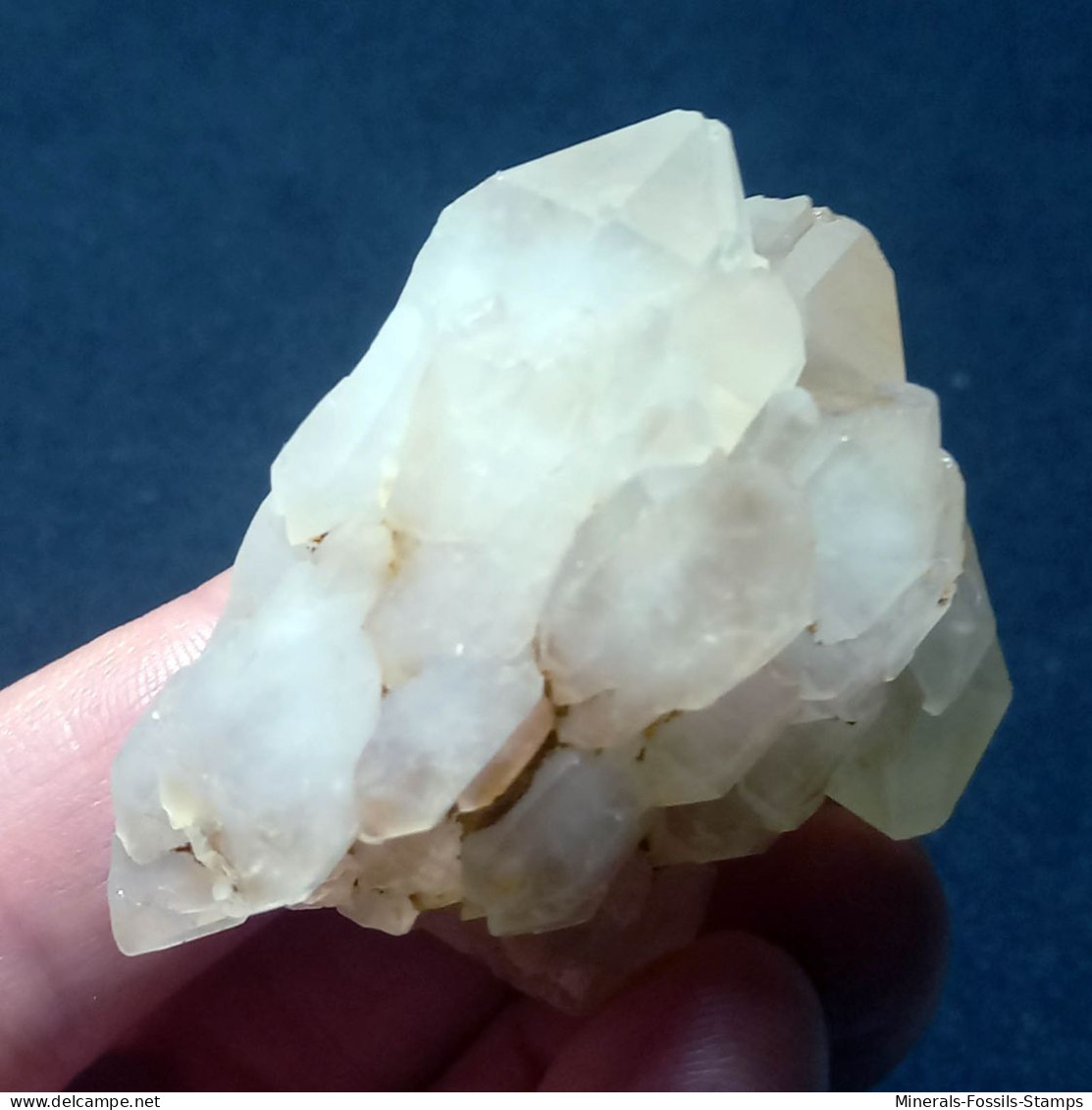 #O54 SELTENE Herrliche QUARZ Gruppen Zwillingskristalle (Martigny, Wallis, Schweiz) - Minerali