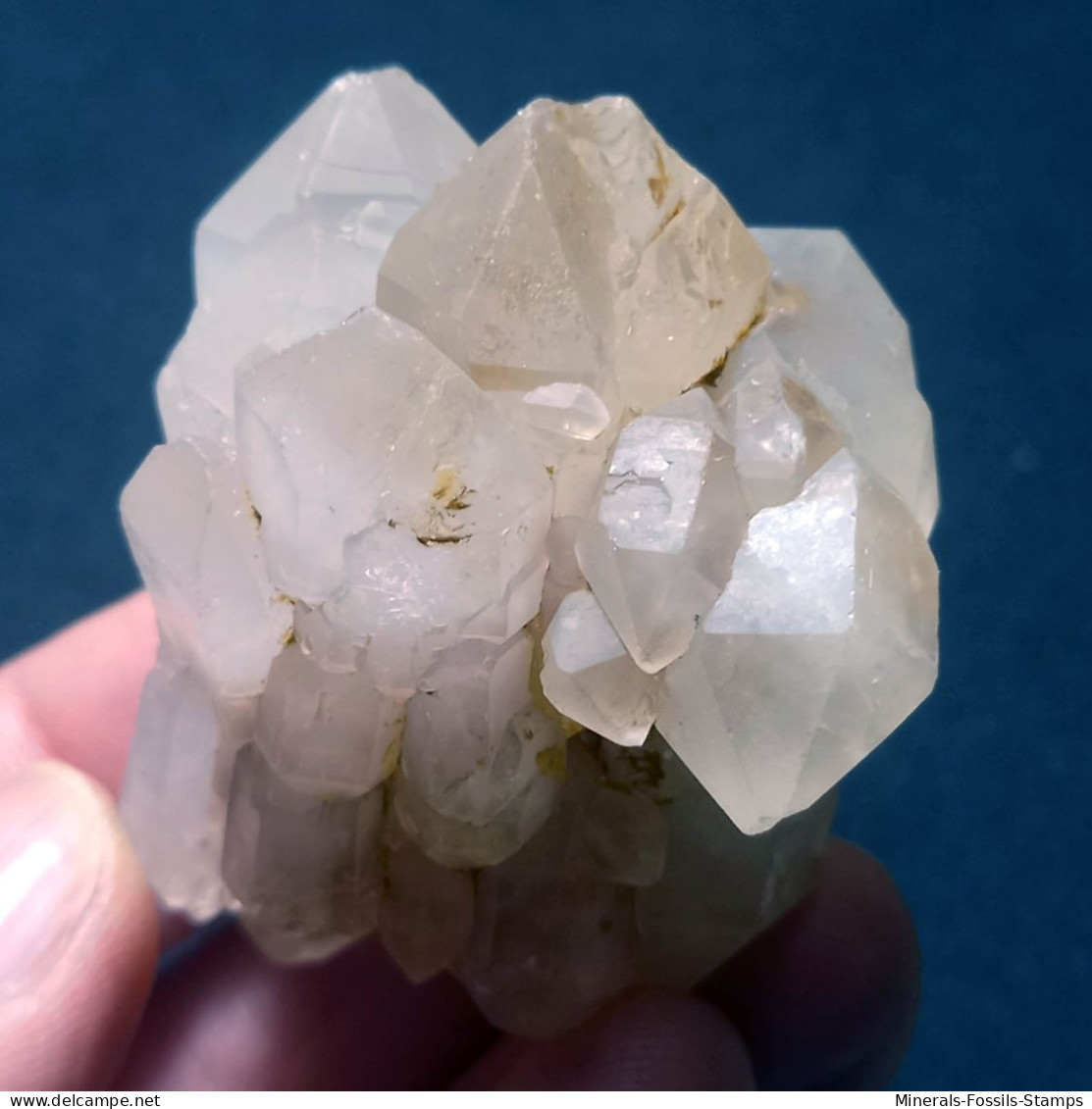 #O54 SELTENE Herrliche QUARZ Gruppen Zwillingskristalle (Martigny, Wallis, Schweiz) - Minerals