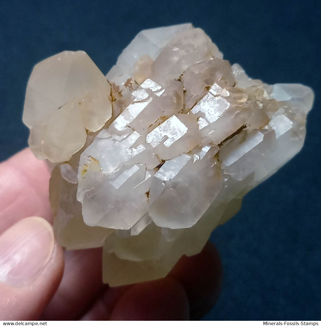 #O54 SELTENE Herrliche QUARZ Gruppen Zwillingskristalle (Martigny, Wallis, Schweiz) - Minerales