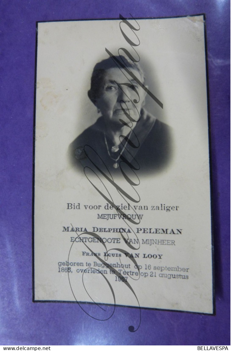 Maria PELEMAN Echt F. VAN LOOY Buggenhout1865-Tertre 1957 - Esquela