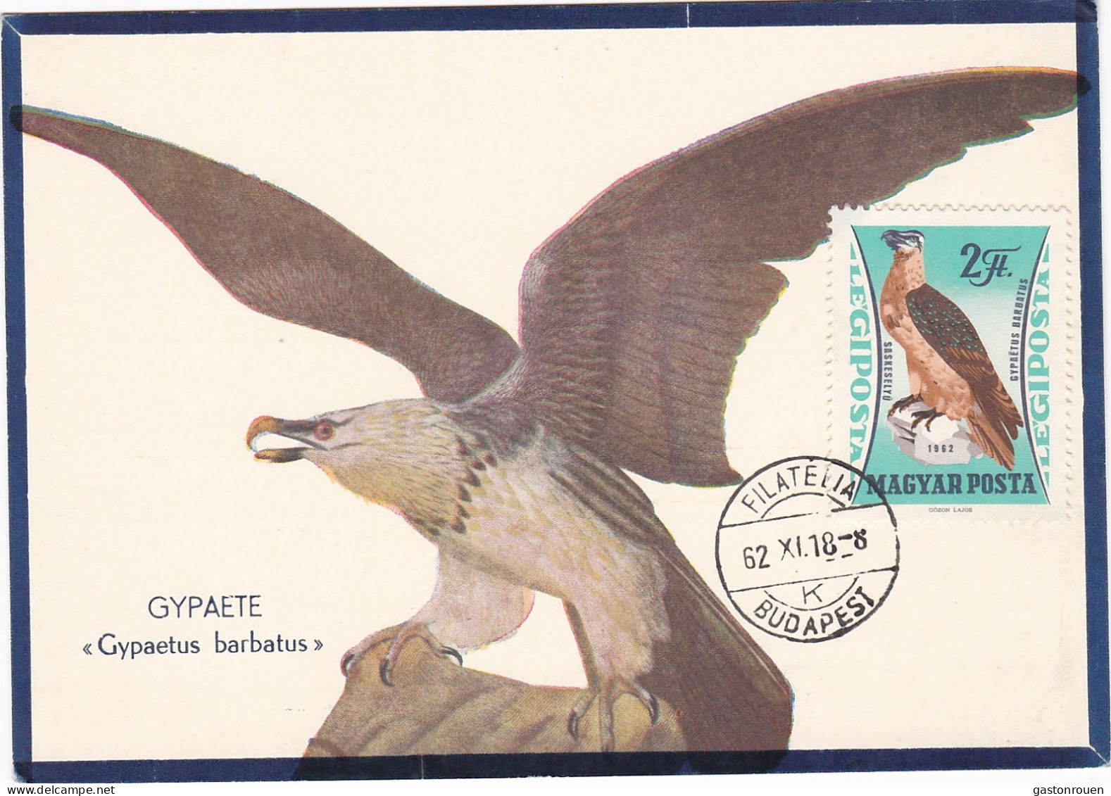 Carte Maximum Hongrie Hungary Oiseau Bird Rapace Gypaète Bearded Vulture Pa255 - Cartoline Maximum