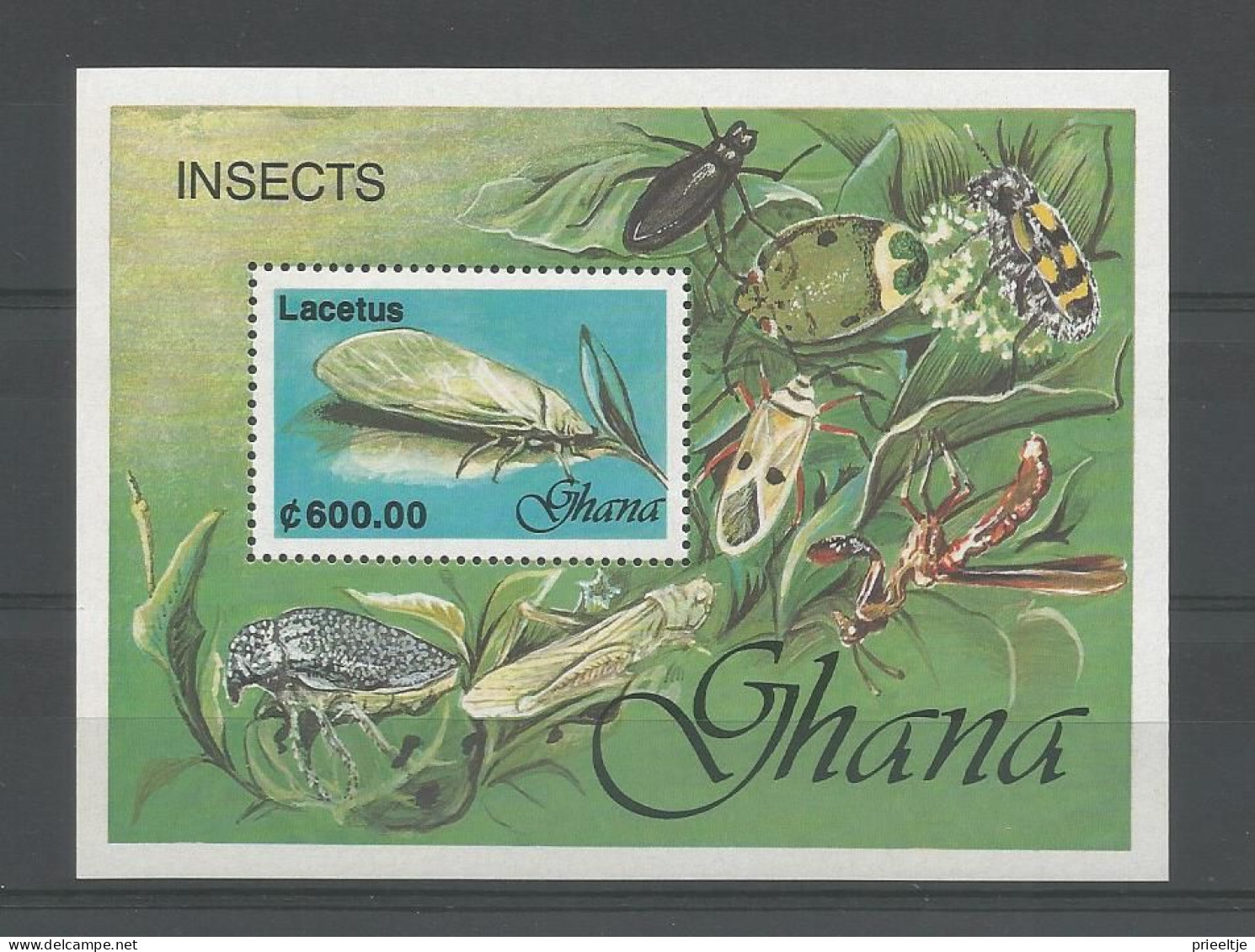 Ghana 1991 Insects S/S Y.T. BF 173 ** - Ghana (1957-...)