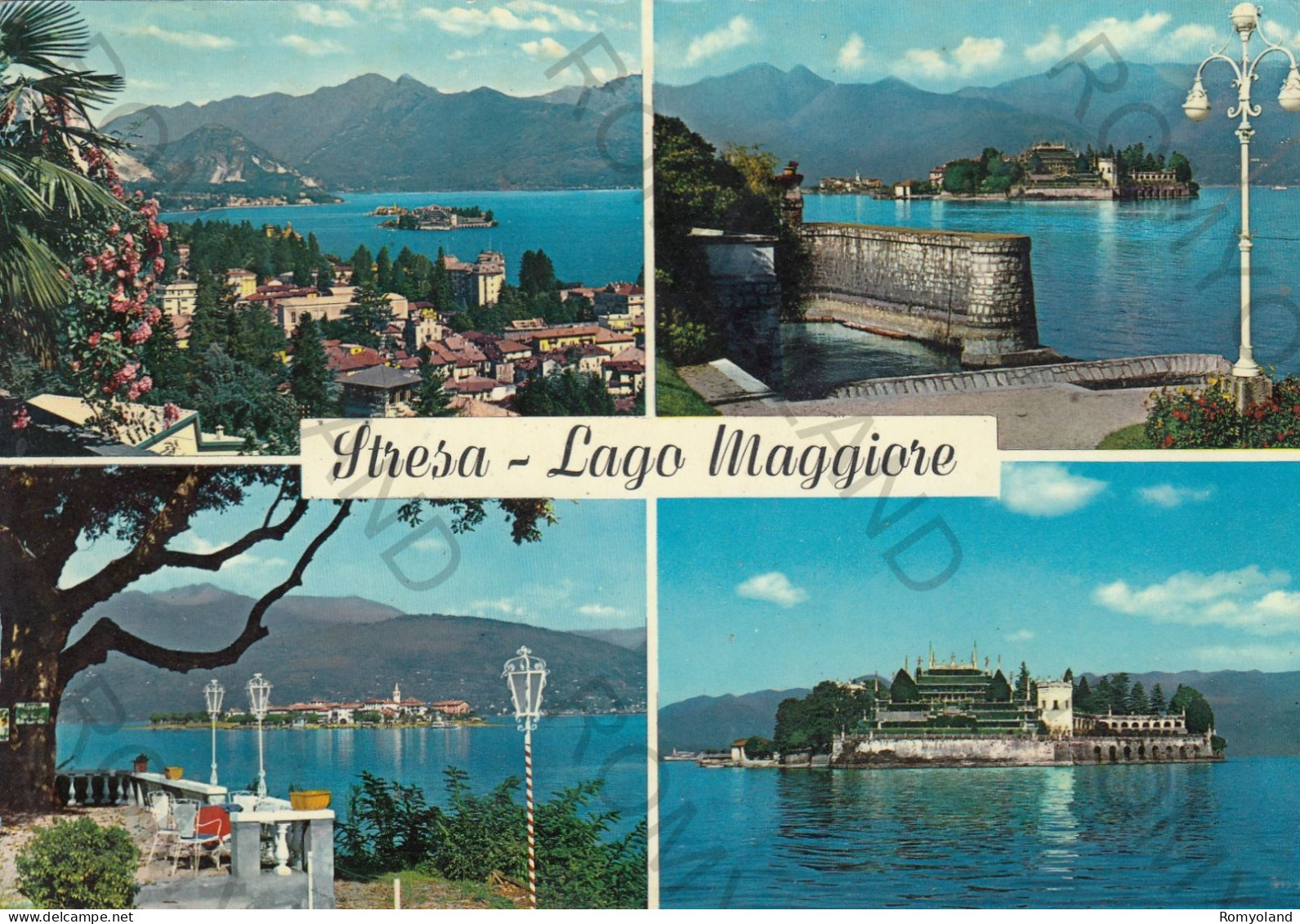 CARTOLINA  C4 STRESA,VERBANIA,PIEMONTE-LAGO MAGGIORE-STORIA,CULTURA,MEMORIA,RELIGIONE,BELLA ITALIA,VIAGGIATA 1962 - Siena