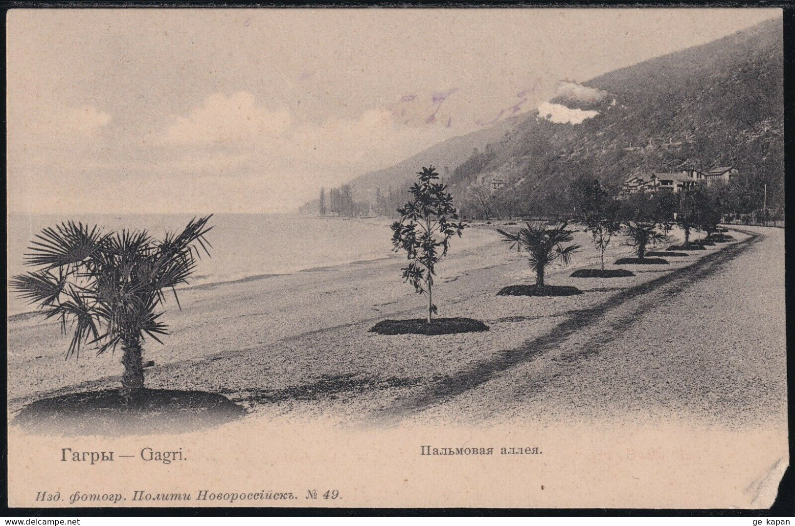 1900-1904 GEORGIA ABKHAZIA GAGRY Palm Alley - Géorgie