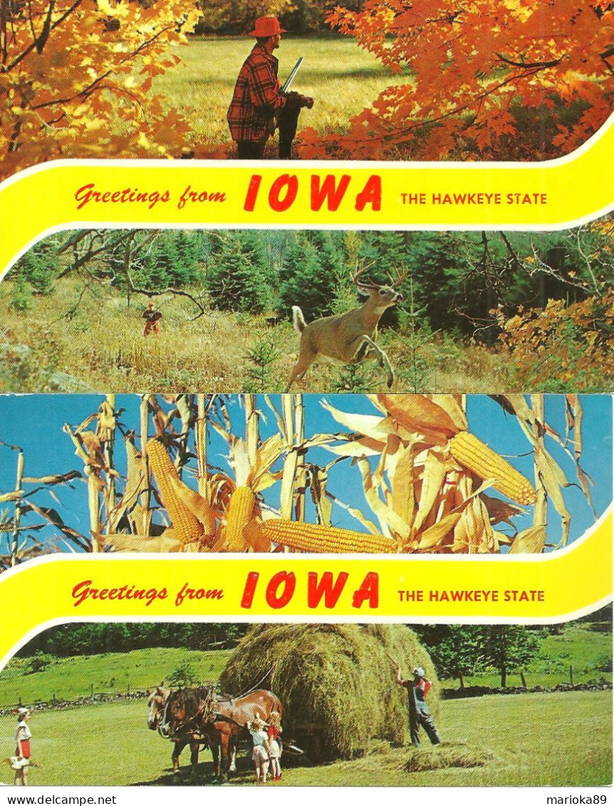 LOT 2 CPSM GREETINGS FROM IOWA THE HAWKEYE STATE - Other & Unclassified