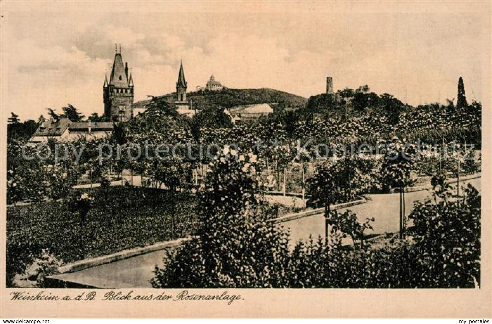 73557892 Weinheim Bergstrasse Blick Aus Der Rosenanlage Weinheim Bergstrasse - Weinheim