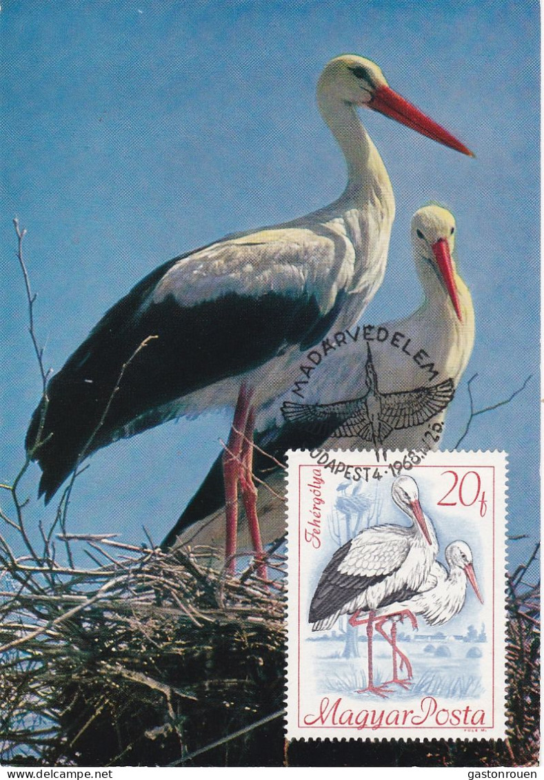 Carte Maximum Hongrie Hungary Oiseau Bird Cigogne Stork 1956 - Maximumkaarten