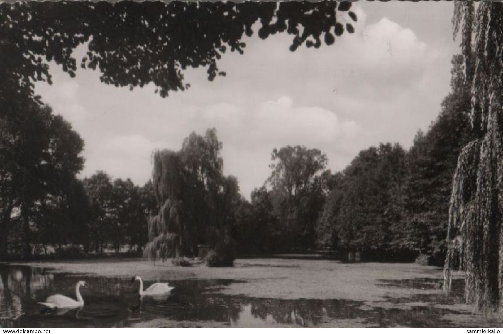 41838 - Alsfeld - Am Erlenteich - 1962 - Alsfeld