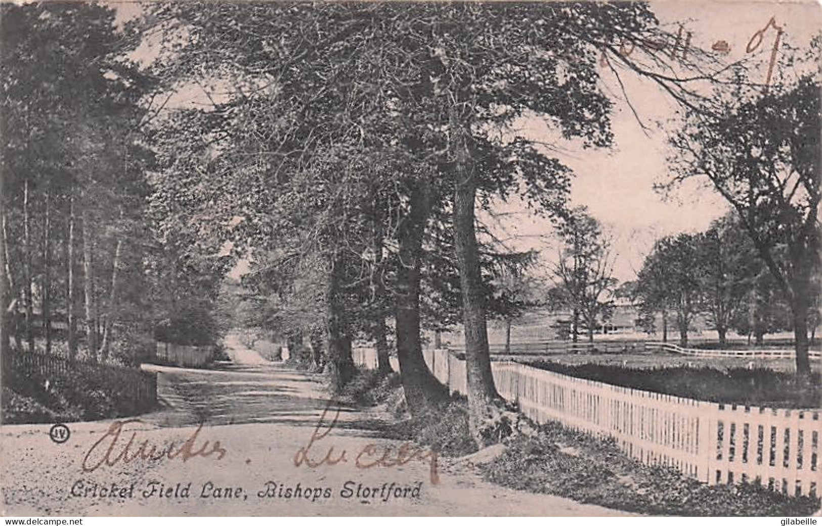 Hertfordshire  - Bishop’s Stortford Cricket Field Lane - 1907 - Herefordshire