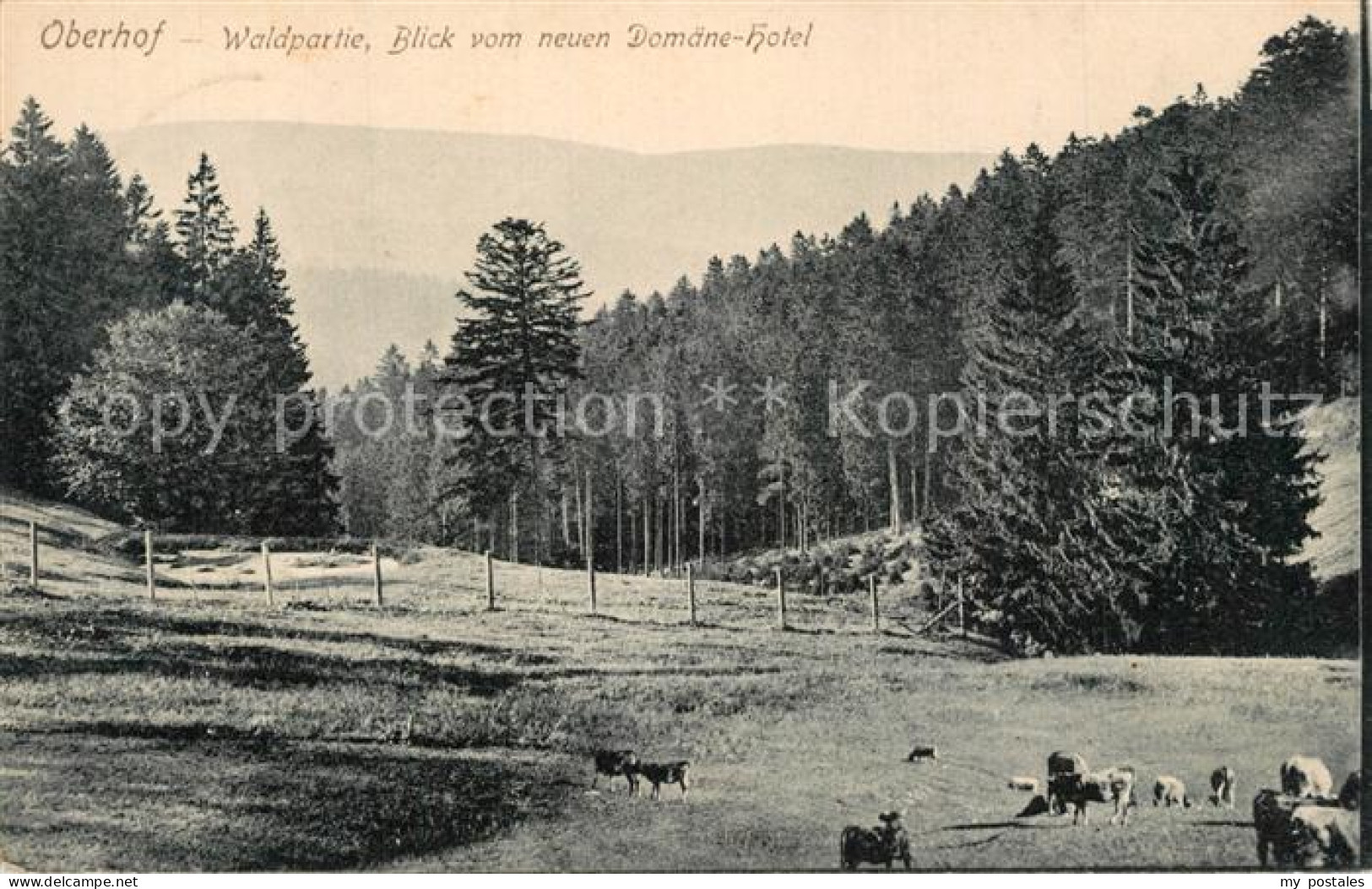 73556365 Oberhof Zella-Mehlis Waldpartie  Oberhof Zella-Mehlis - Zella-Mehlis