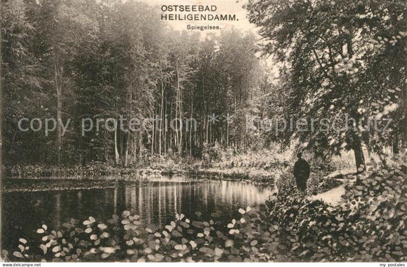 73553532 Heiligendamm Ostseebad Uferpartie Am Spiegelsee Heiligendamm Ostseebad - Heiligendamm