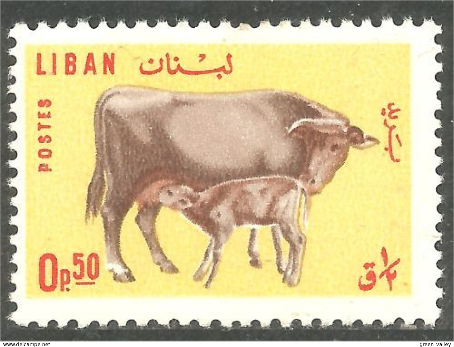 566 Liban Vache Cow Kuh Koe Mucca Vacca Vaca Veau Calf MH * Neuf (LBN-141) - Mucche