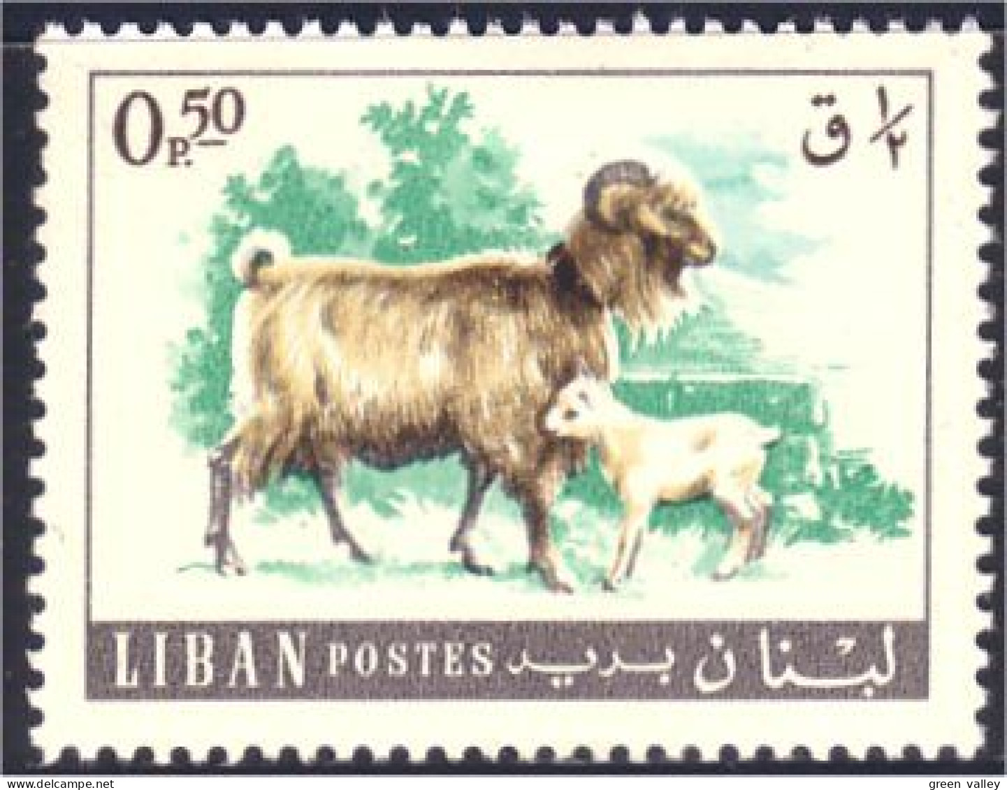 566 Liban Goat Kid Chevre Chevreau MH * Neuf (LBN-73) - Hoftiere