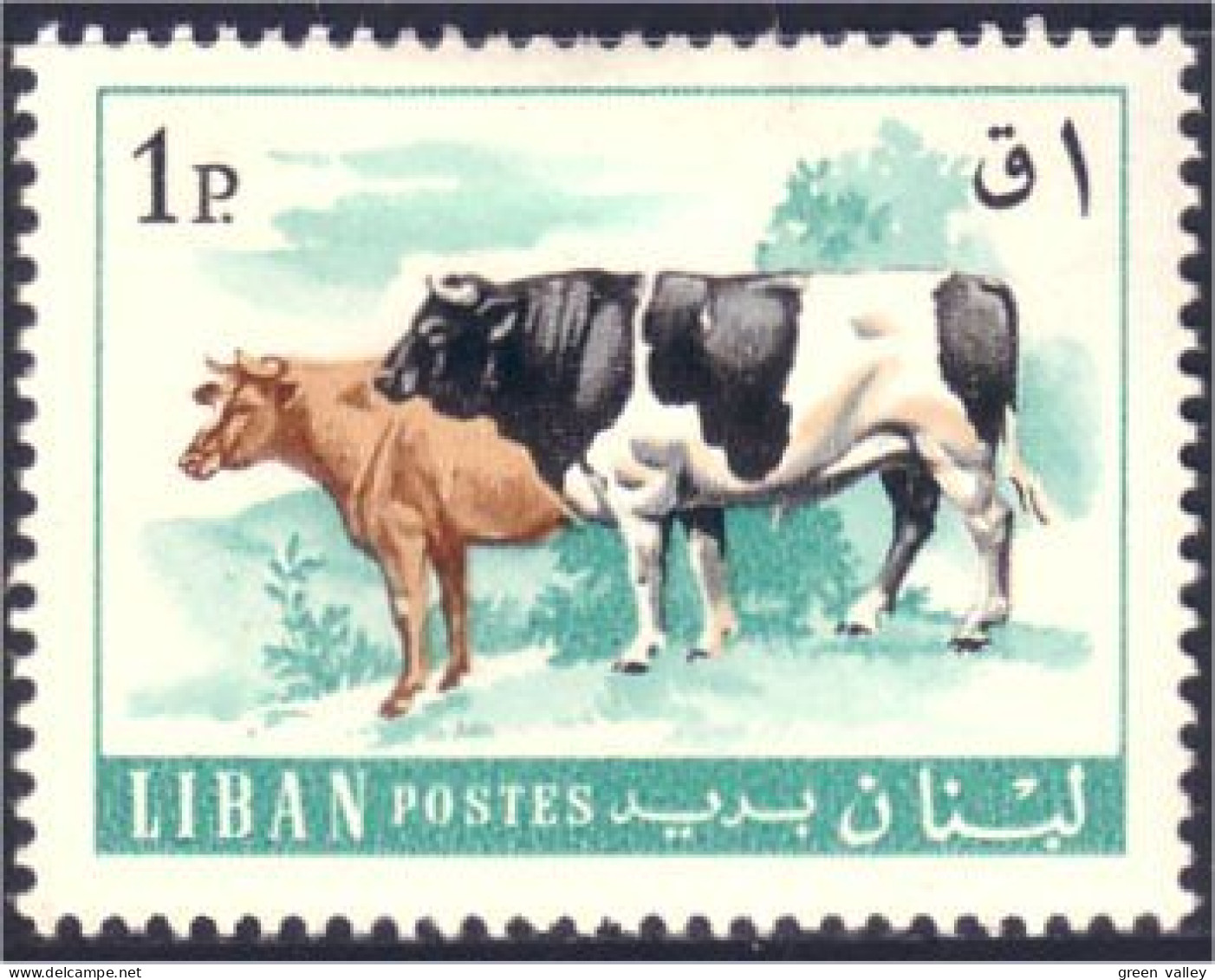 566 Liban Cattle Bull Cow Vache Taureau MH * Neuf (LBN-74) - Boerderij