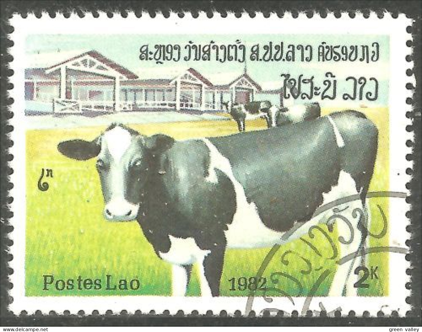560 Laos Vache Cow Kuh Koe Mucca Vacca Vaca (LAO-189) - Kühe