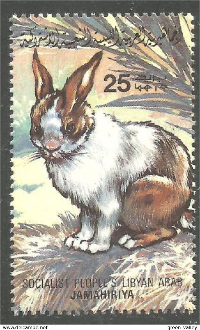 573 Libye Lapin Rabbit Kaninchen Konijn Coniglio Coelho Conejo MNH ** Neuf SC (LBY-49b) - Lapins