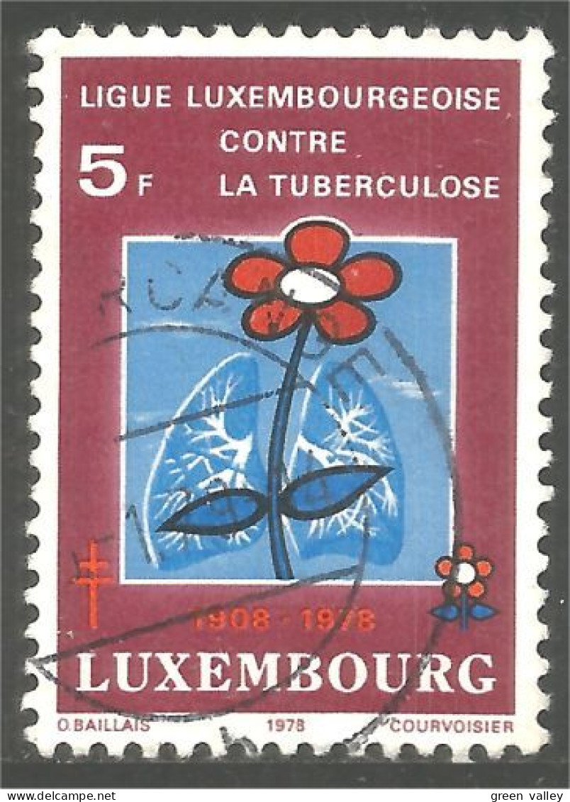 584 Luxembourg 1978 Tunerculose Tuberculosis Lungs Poumons Fleur Flower (LUX-133) - Minéraux